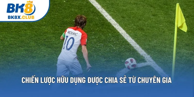 Chiến lược hữu dụng được chia sẻ từ chuyên gia 