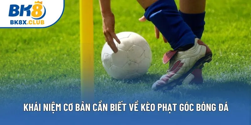 Khái niệm cơ bản cần biết về kèo phạt góc bóng đá