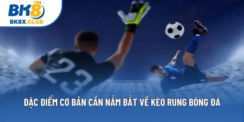 Đặc điểm cơ bản cần nắm bắt về kèo rung bóng đá